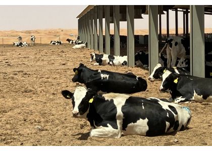 Food security and sustainability in the Middle East