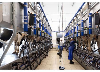 Secure long-term viability of the dairy business