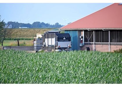 Lely: Mowing and feeding robot to be launched