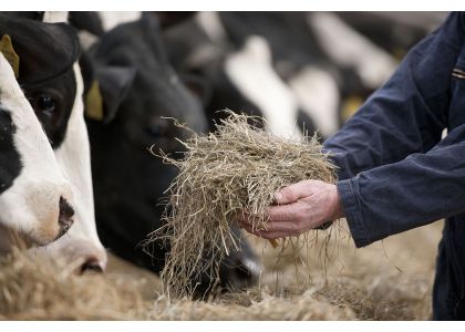 How the US dairy sector is driving environmental progress