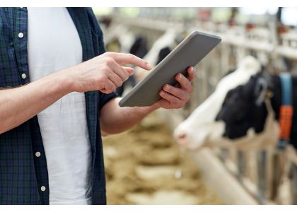 Dairy farming and partnering with AI systems