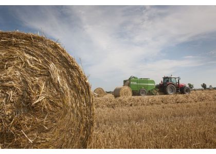 How the changing climate is affecting hay production