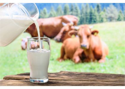 Challenging year ahead for Polish dairy sector