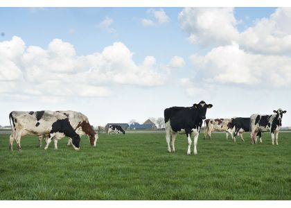 Arla dairy continues with manure-powered renewable energy