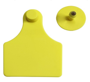 Conventional Ear Tag