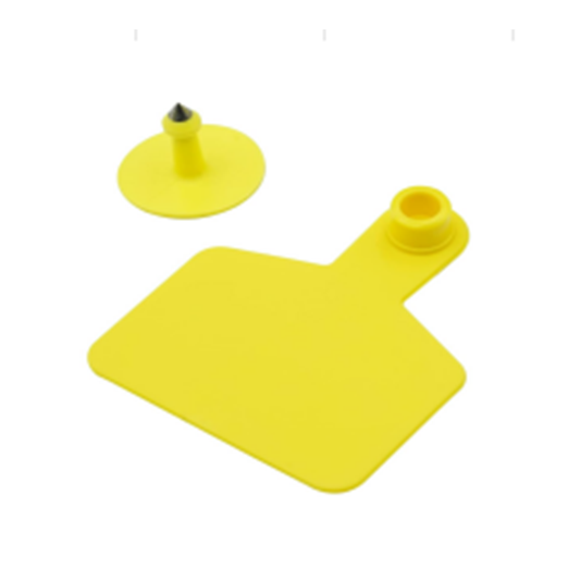 Conventional Ear Tag