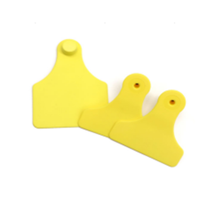 Conventional Ear Tag