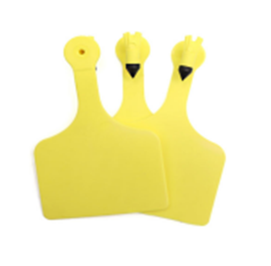 Conventional Ear Tag