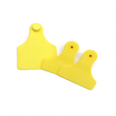 Conventional Ear Tag