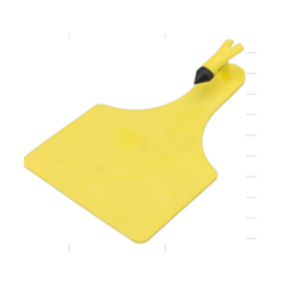 Conventional Ear Tag