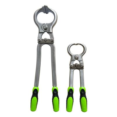 Sheep Burdizzo Castrator