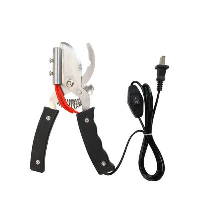 Electric Tail Docker