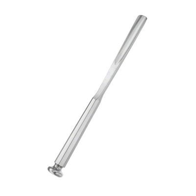 Veterinary Hexagonal Bone Chisel